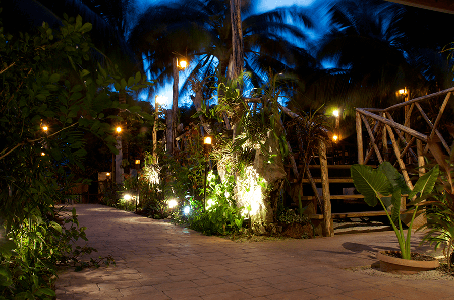 Romantic lit-up tropical garden in the evening